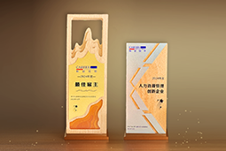 金年会jinnian国际一举斩获“2024年度中国区最佳雇主”等多项大奖